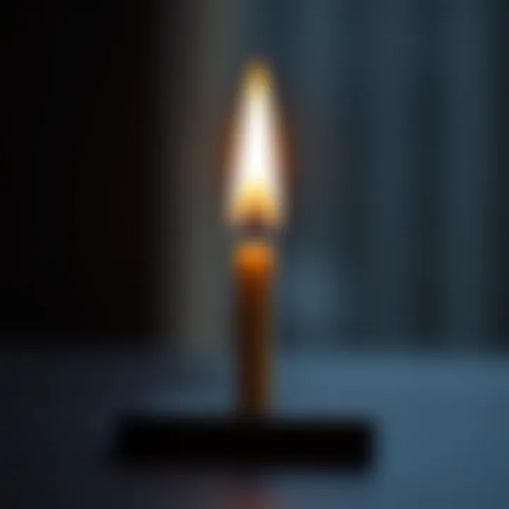 Diagram showing basic Japanese candlestick with wick and body illustrating price movement